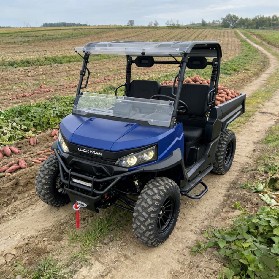 73.6V 4WD UTV 10kw AC மோட்டார் EPS ஸ்டீயரிங் 150ah பேட்டரி